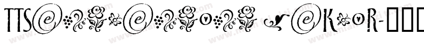 TTSangsangong jaksoR字体转换
